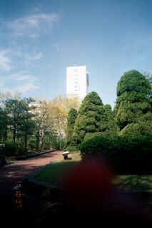 My Pictures0009.jpg (20485 bytes)