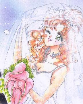 bride.jpg (24954 bytes)